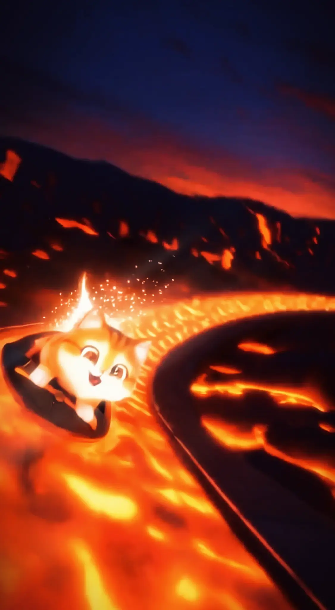 Miko the adventurous cat